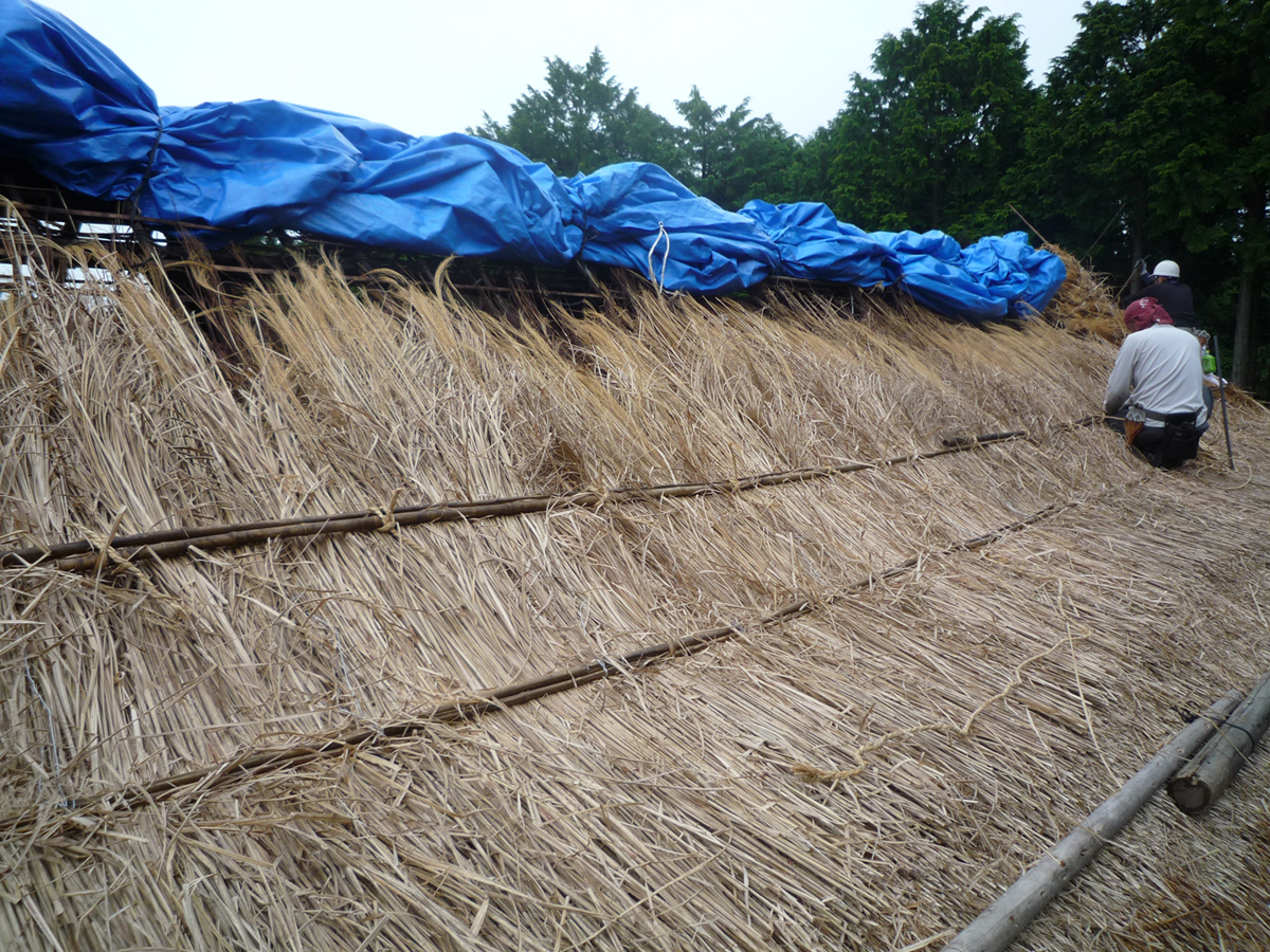 かや葺き屋根の施工