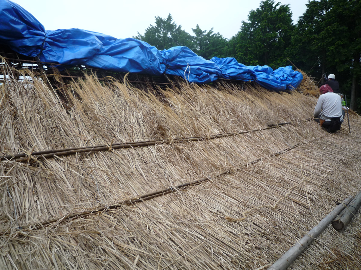 御殿場市指定文化財級石田家かや葺き替え工事作業中