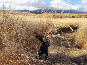 かや刈り作業中