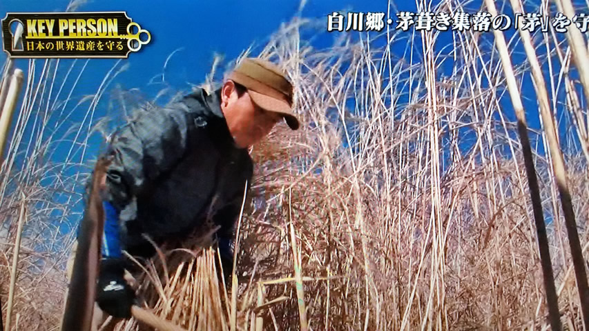 2018年5月19日（土）放送　テレビ東京