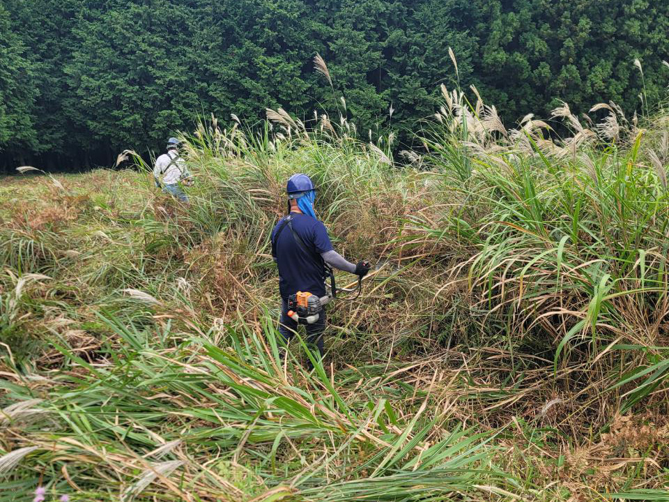 茅場　10月　防火帯作業風景