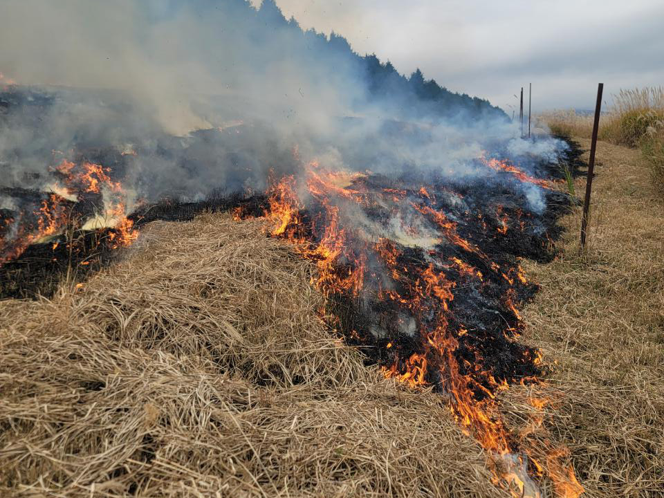 茅場11月　防火帯